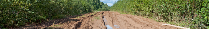 Mud terrain staff picks